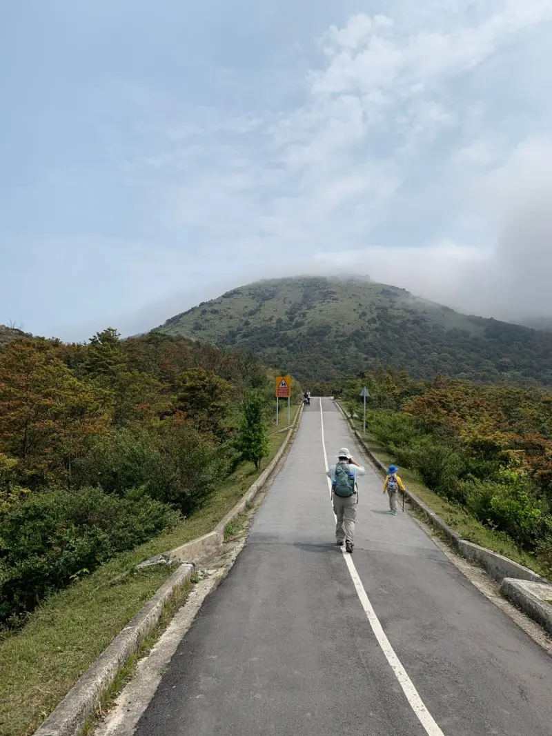 高铝耐火砖与粘土保温砖性能对比及选型指南
