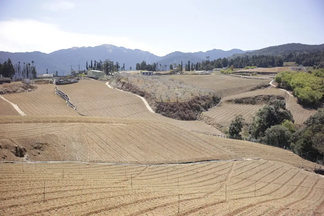 高铝耐火砖与粘土砖性能参数对比及选型建议